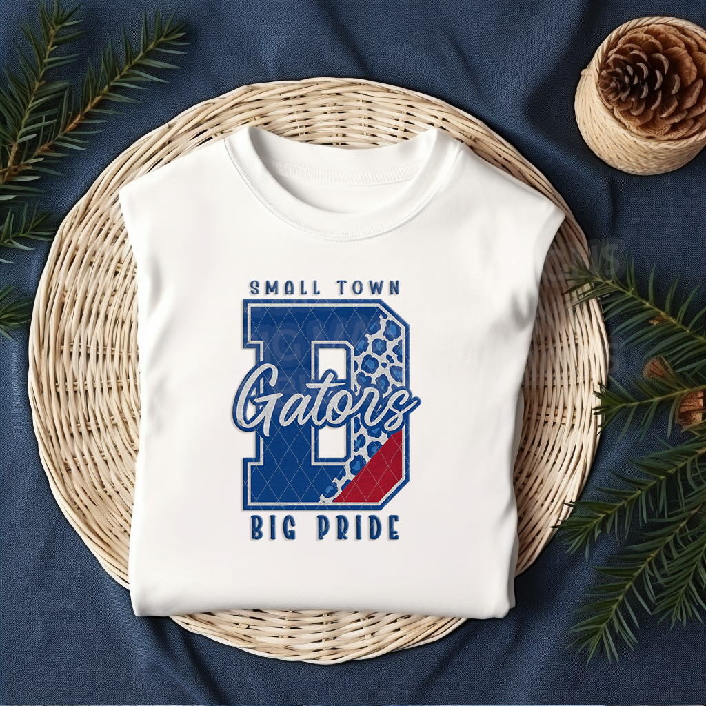 Small Town Big Pride- Dickinson Gators