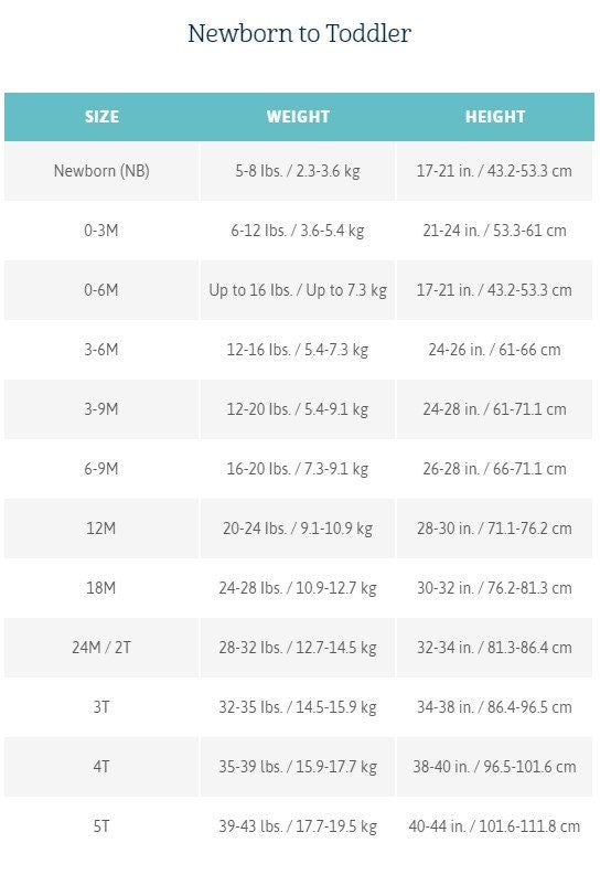 Little Love Bug Valentine's Day Gerber Onesie®