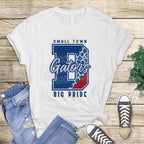 Dickinson Gators DTF Transfer Bundle - Gators Leopard Print Design
