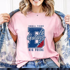 Model wearing pink T-shirt with Small Town Big Pride Gators DTF transfer design